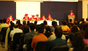 Degree Distribution 2017