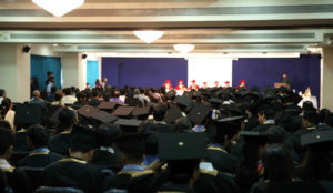 Degree Distribution 2017