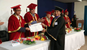 Degree Distribution 2017