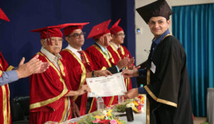 Degree Distribution 2017