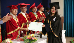 Degree Distribution 2017
