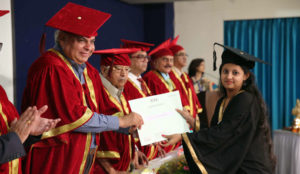 Degree Distribution 2017