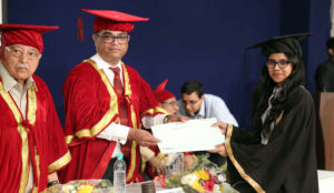 Degree Distribution 2017